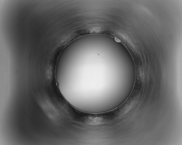 X0000096200311200801181346