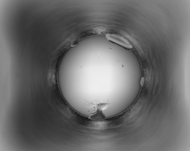 X0000096200313200801181346