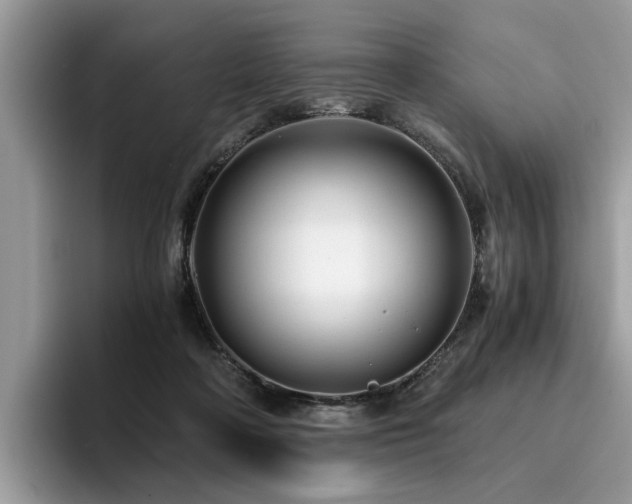 X0000096200314200801181346