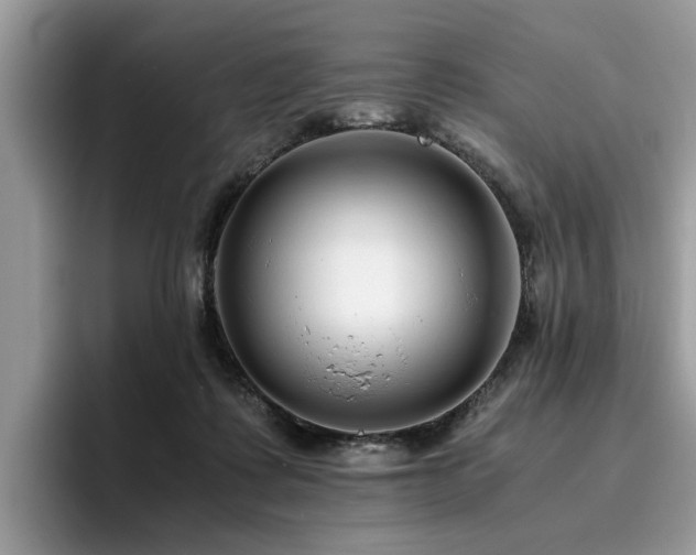 X0000096200315200801181346