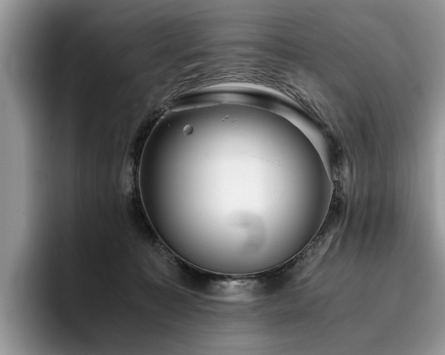 X0000096200323200801181346