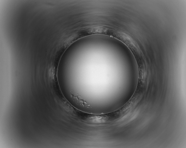 X0000096200326200801181346
