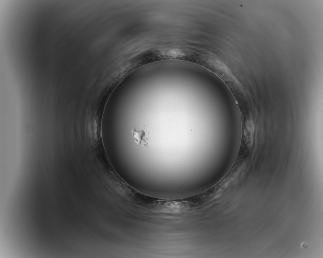 X0000096200330200801181346