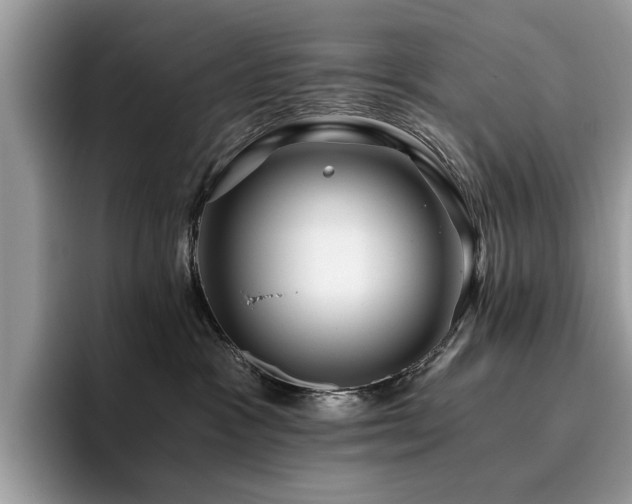 X0000096200333200801181346