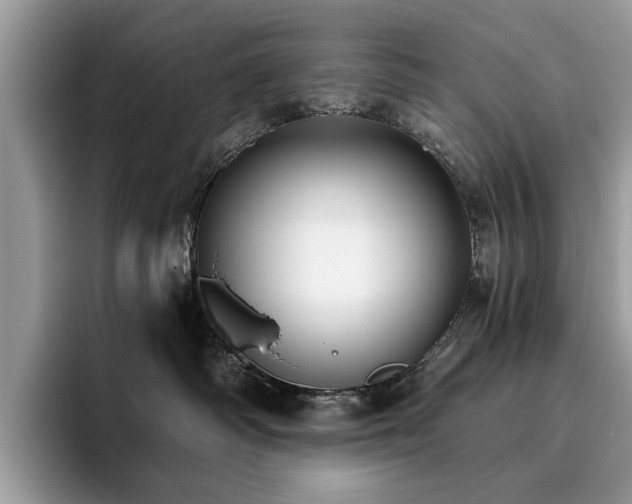 X0000096200334200801181346
