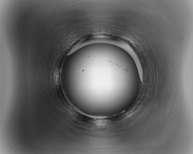 X0000096200336200801181346