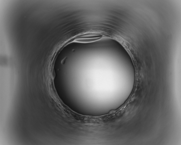 X0000096200337200801181345