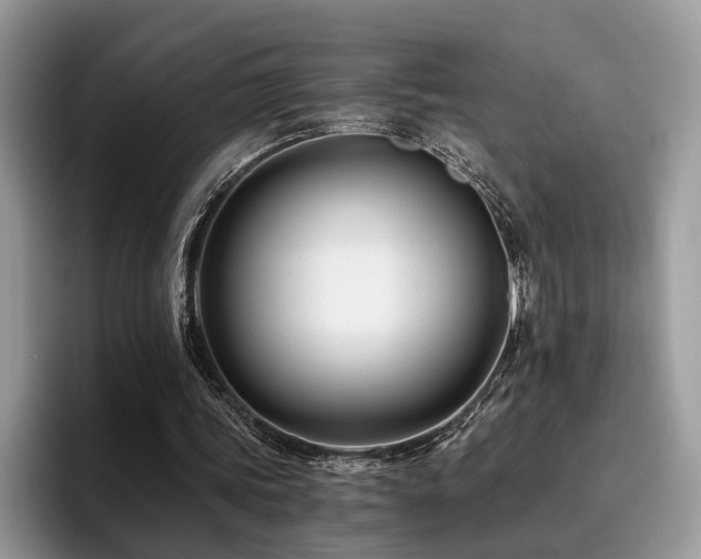 X0000096200339200801181345