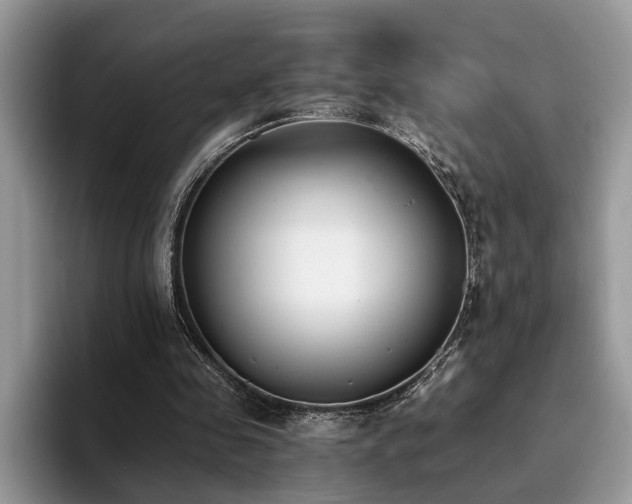 X0000096200341200801181345
