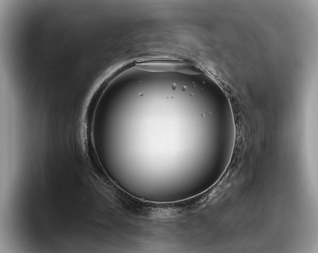 X0000096200342200801181345