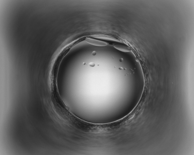 X0000096200343200801181345