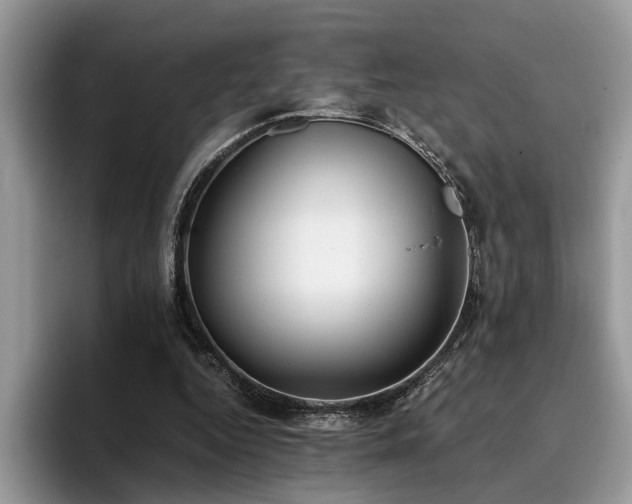 X0000096200344200801181345