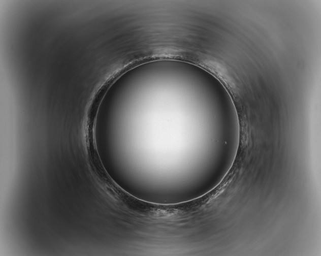 X0000096200346200801181345