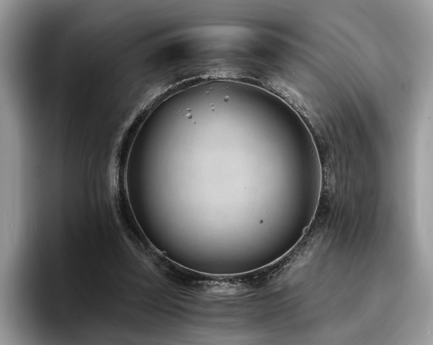 X0000096200347200801181345