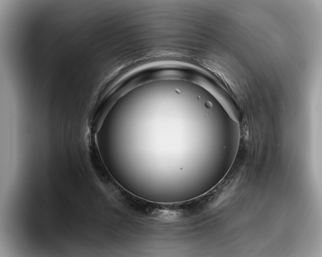 X0000096200352200801181345