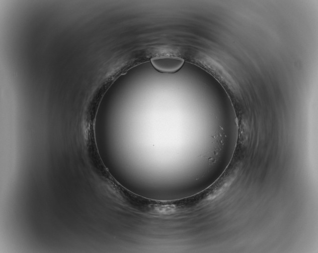 X0000096200355200801181345