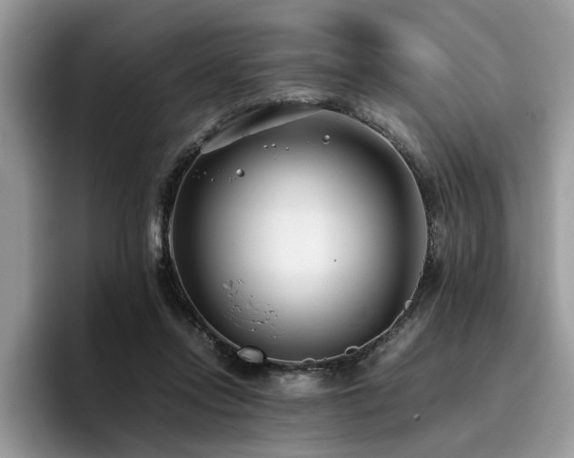 X0000096200358200801181345