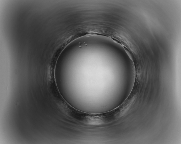 X0000096200359200801181345