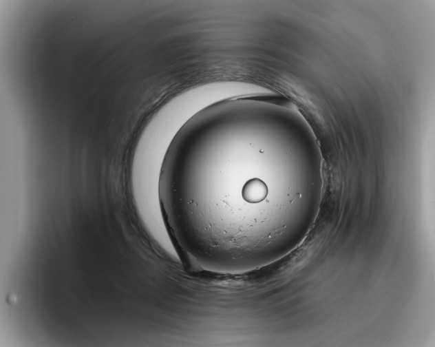 X0000096200362200801181345
