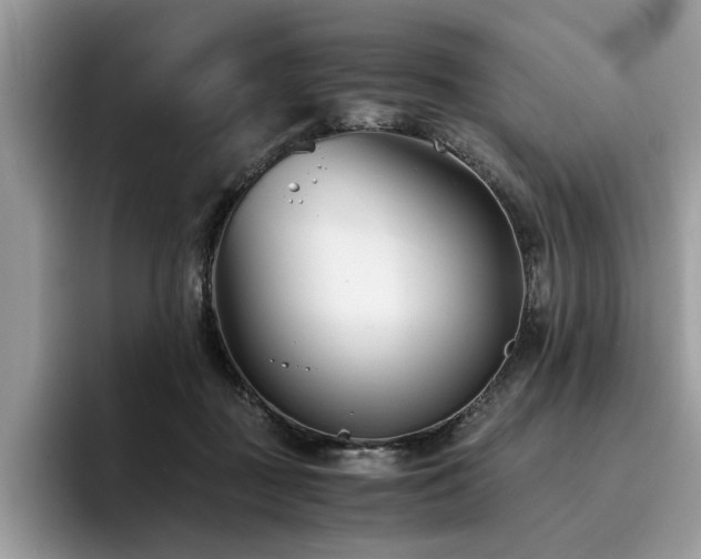 X0000096200363200801181346