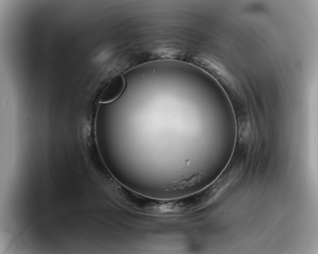 X0000096200365200801181346