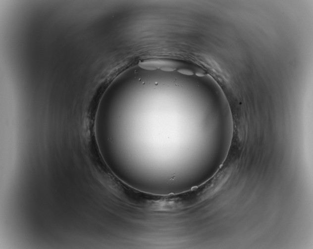 X0000096200366200801181346
