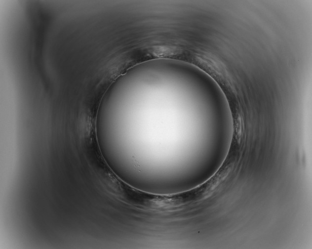 X0000096200367200801181346