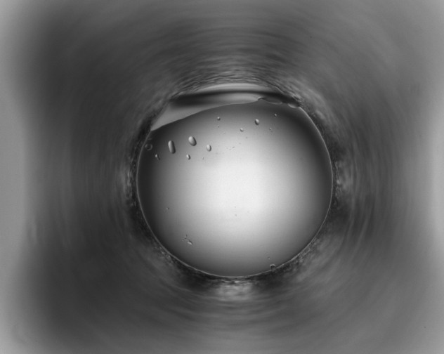 X0000096200369200801181346