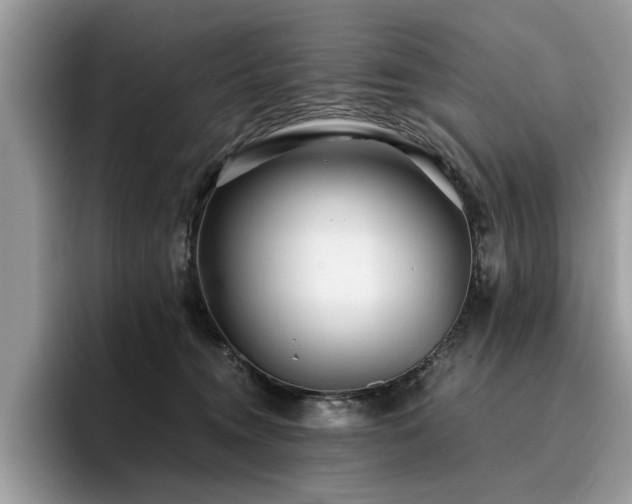 X0000096200372200801181346
