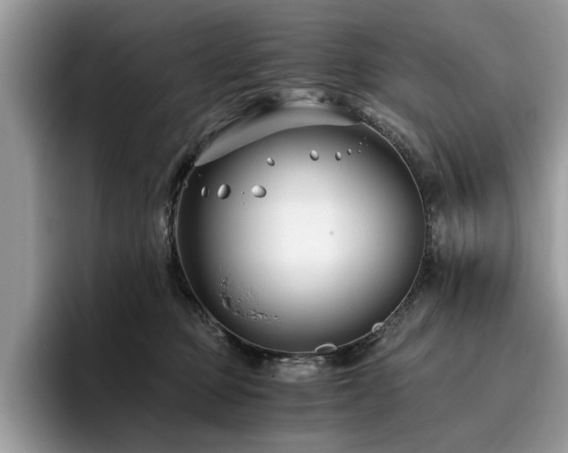 X0000096200373200801181346
