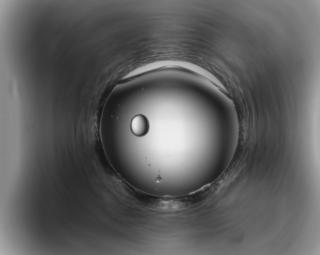 X0000096200376200801181346