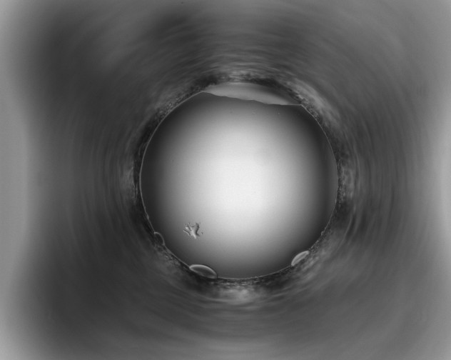X0000096200377200801181346