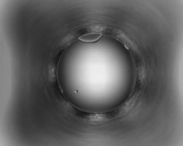 X0000096200378200801181346
