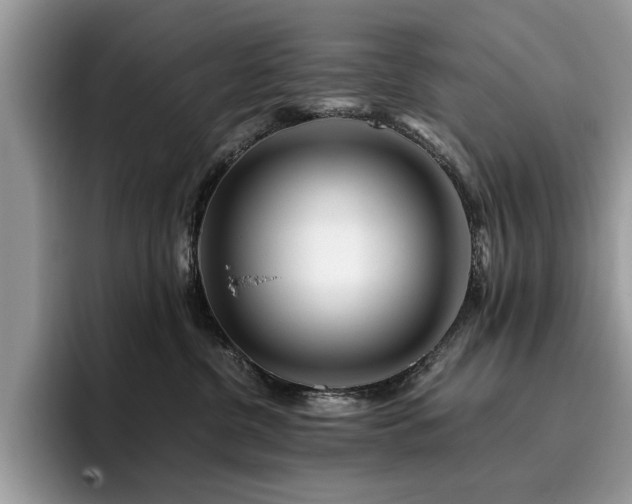 X0000096200380200801181346