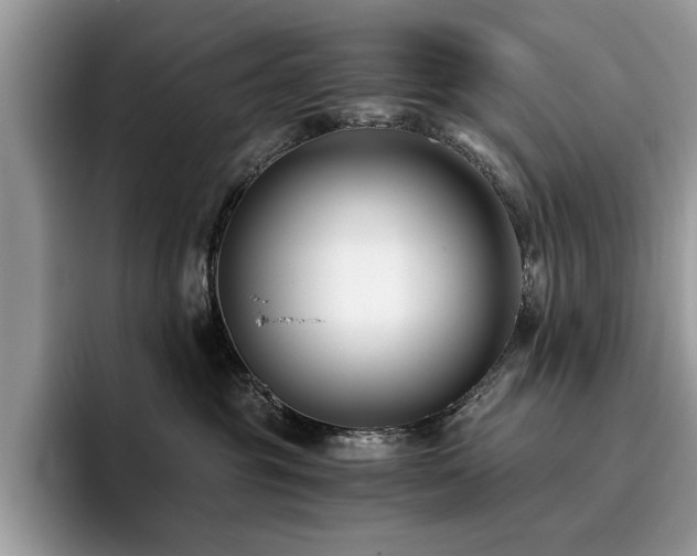 X0000096200381200801181346