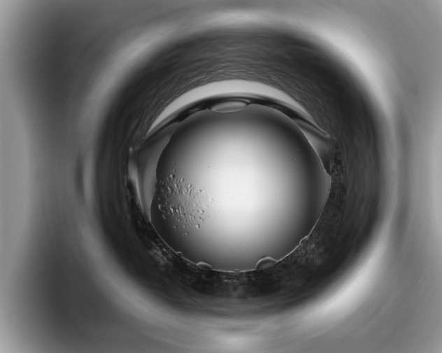 X0000096200382200801181346