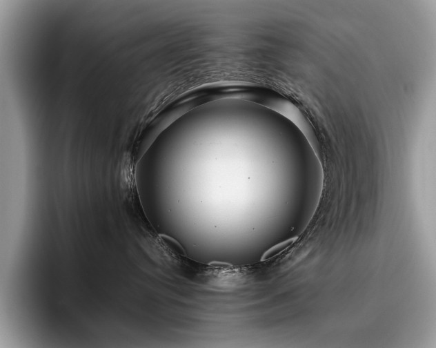 X0000096200384200801181346
