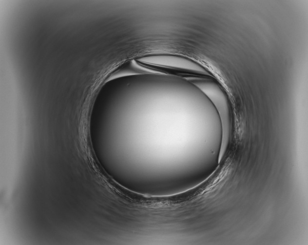 X0000096200385200801181345