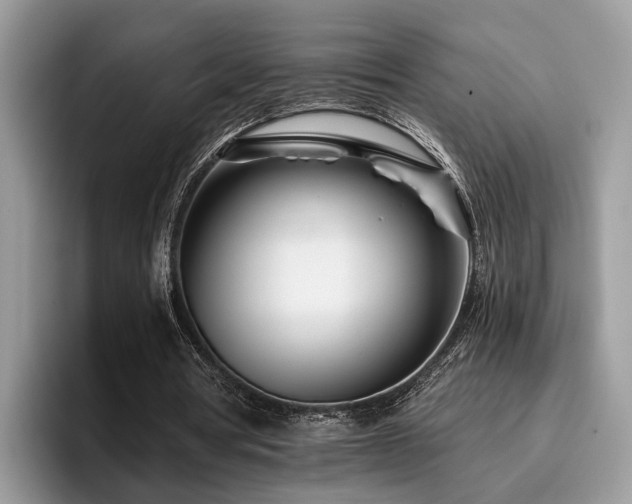 X0000096200386200801181345