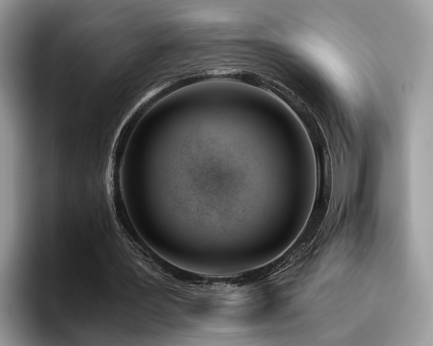 X0000096200387200801181345