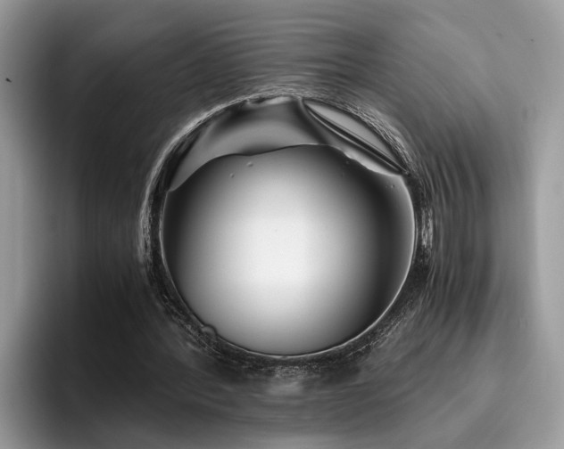 X0000096200388200801181345