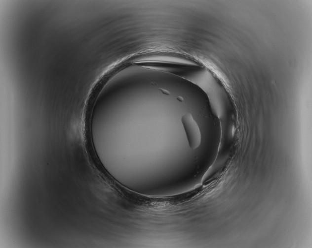 X0000096200391200801181345