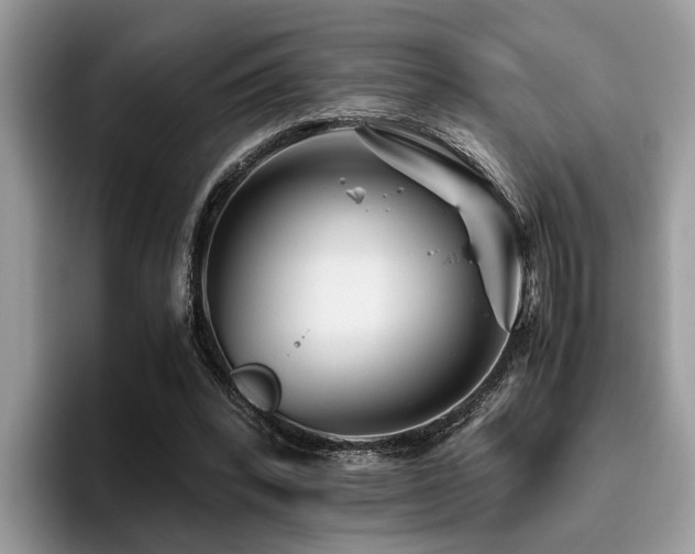 X0000096200392200801181345
