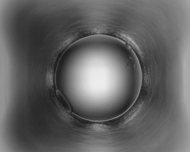 X0000096200393200801181345