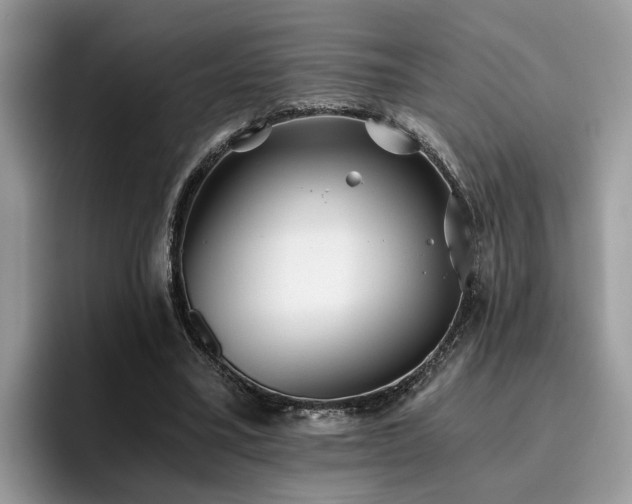 X0000096200395200801181345