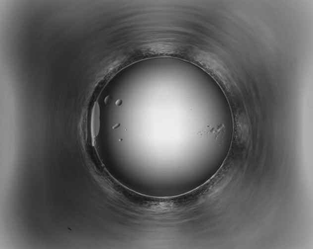 X0000096200398200801181345