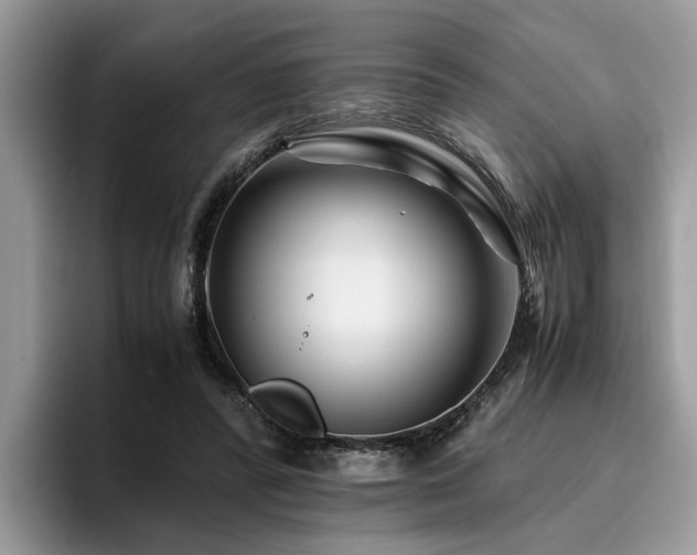 X0000096200400200801181345