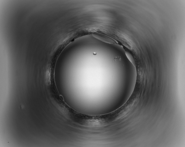 X0000096200404200801181345