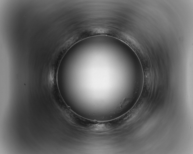 X0000096200406200801181345