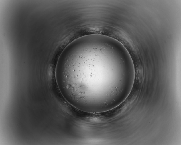 X0000096200412200801181345